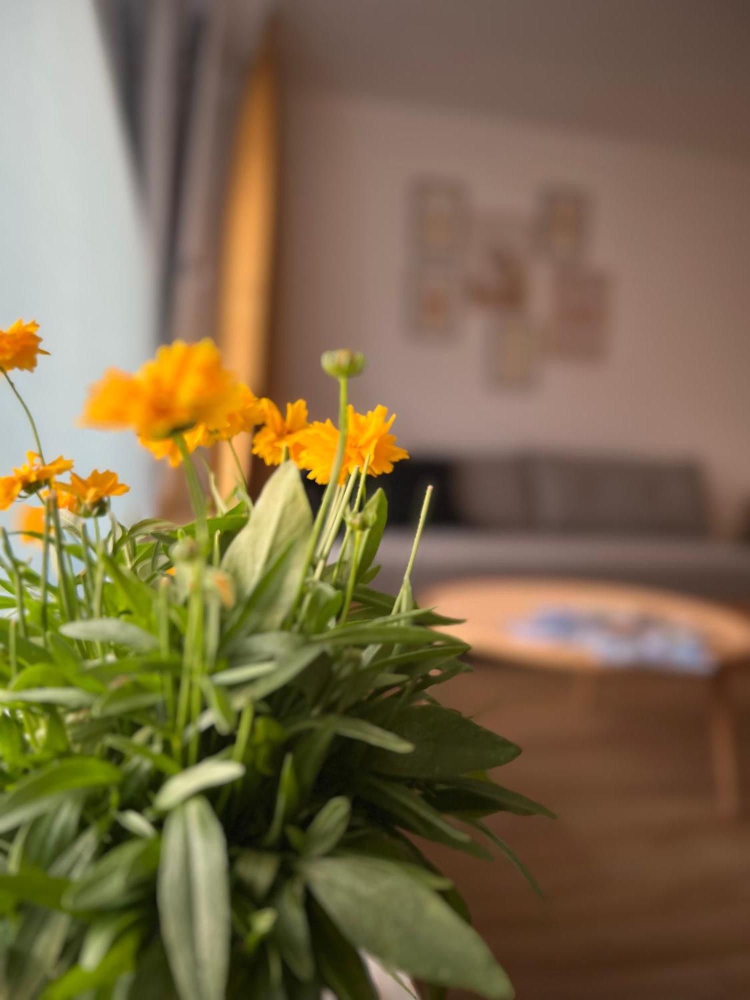 Ferienwohnung Sonneck Оберштауфен Экстерьер фото